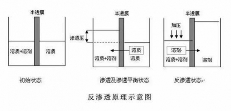 ro膜是什么？為什么說它是凈水器的靈魂？  hot